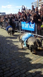 IMG_20150411_160757 cropped