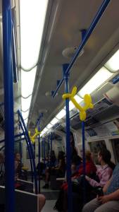 11728971_1145643748795678_3259608417575703486_o