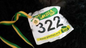 10669136_952945541398834_6277887475369917976_o