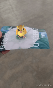 IMG_2016-07-30-21464462