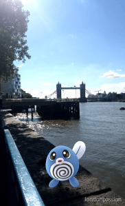 IMG_2016-07-31-09272647